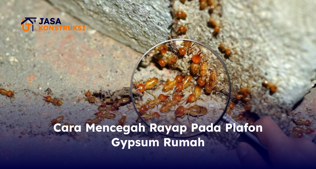Cara Mencegah Rayap Pada Plafon Gypsum Rumah