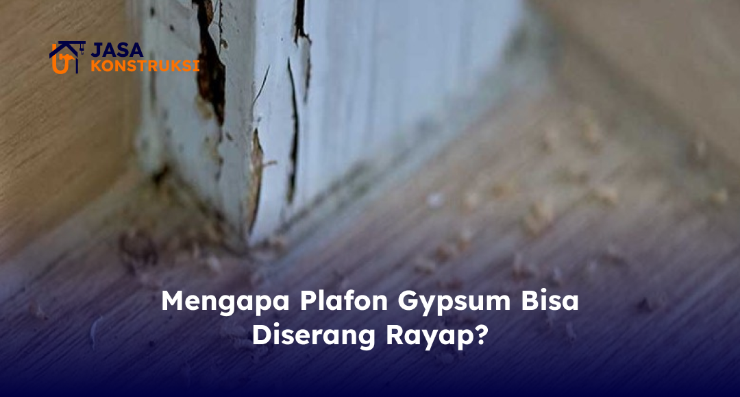 Mengapa Plafon Gypsum Bisa Diserang Rayap?