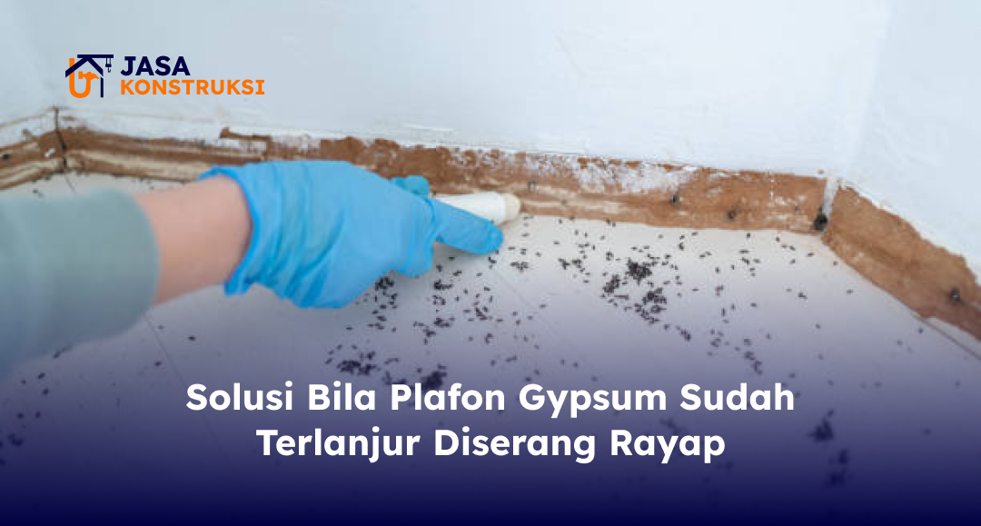 Solusi Bila Plafon Gypsum Sudah Terlanjur Diserang Rayap