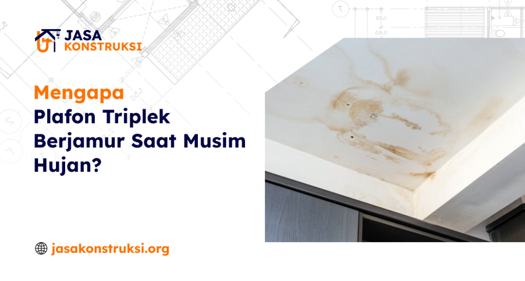01 Mengapa Plafon Triplek Berjamur Saat Musim Hujan
